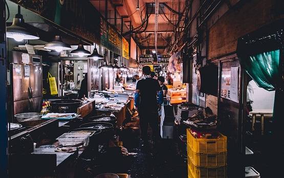 इंसान ने अपनी इन गलतियों से पैदा किया कोरोना वायरस, अब बनी महामारी