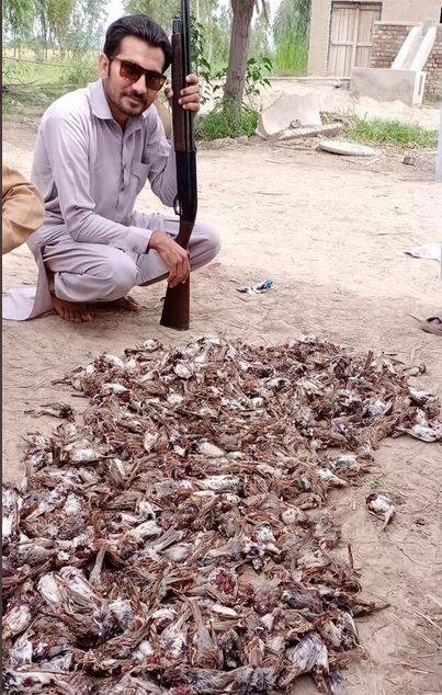 PAK: लॉकडाउन में हो रहा था बोर, मारकर खा गया सैकड़ों चिड़िया