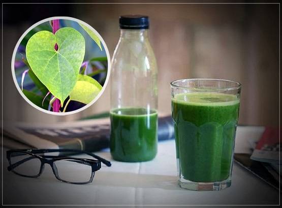 कोरोना: इस चमत्कारी पत्ते का ड्रिंक सुधारेगा इम्यून, डाइट में करें शामिल