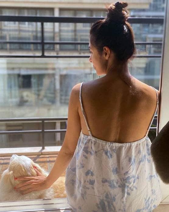 क्वारनटीन में कुकिंग का शौक पूरा कर रहीं मलाइका, बनाए बेसन के लड्डू