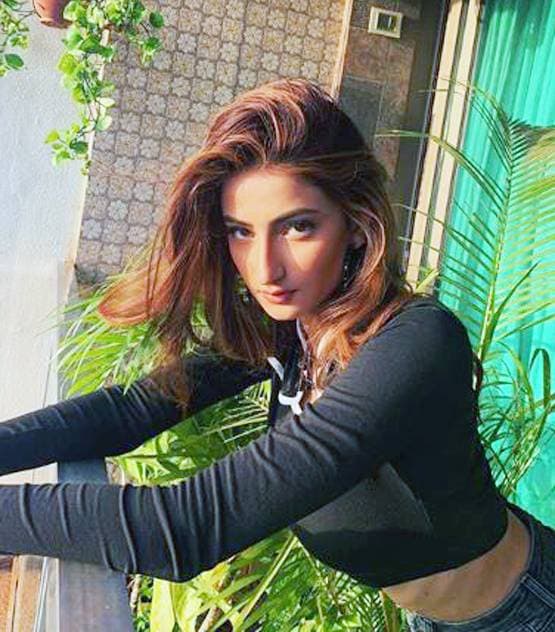 श्वेता तिवारी की बेटी ने बताई वर्कआउट की नई तरकीब, देखें तस्वीर