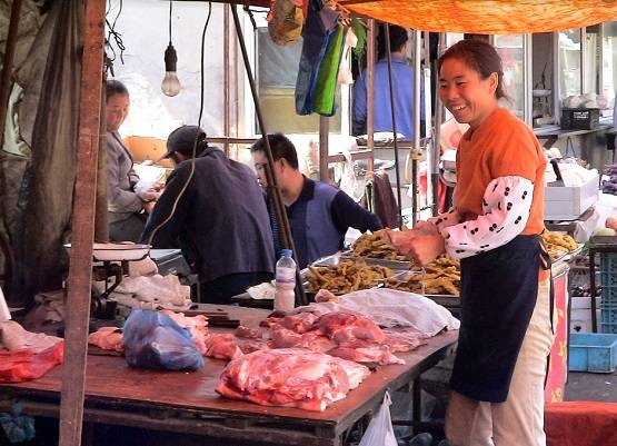 इंसान ने अपनी इन गलतियों से पैदा किया कोरोना वायरस, अब बनी महामारी