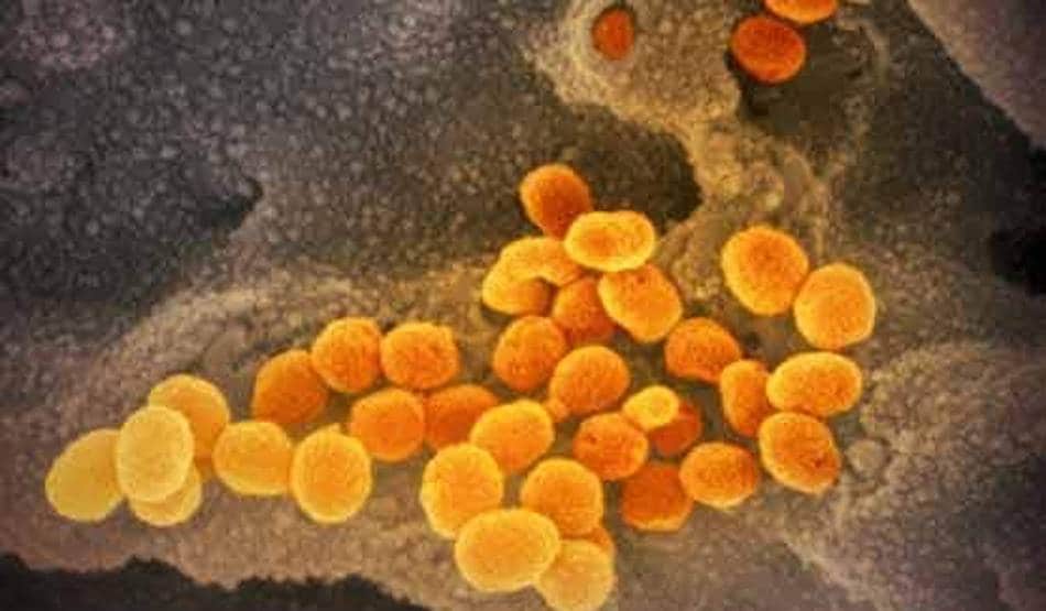 कोरोना पर गेम चेंजर, 30 दिन में 20 करोड़ टैबलेट बना सकता है भारत