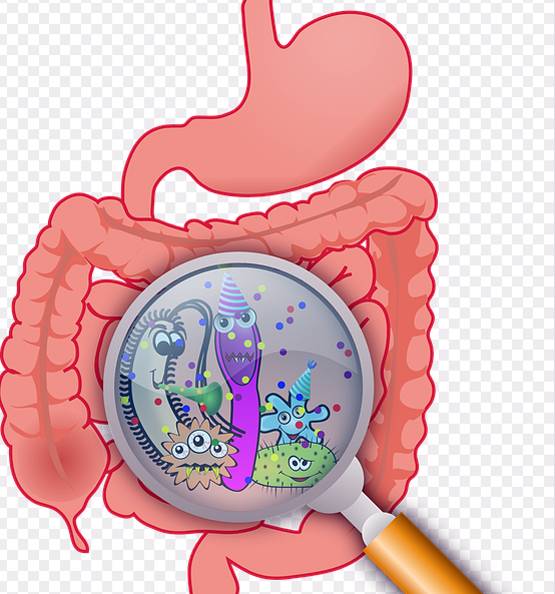 कोरोना वायरस: खान-पान से संक्रमण को लेकर वैज्ञानिकों ने बताईं ये अहम बातें