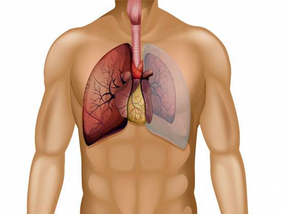 सावधान! धूम्रपान करने वालों को कोरोना का खतरा 14 गुना ज्यादा
