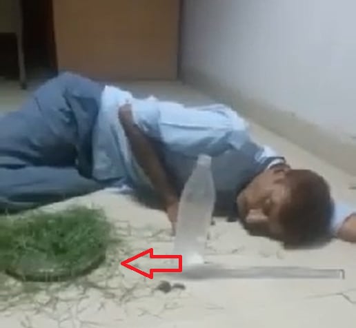 सैलरी नहीं मिली तो थाली में रखकर घास खाने लगा गार्ड, वीडियो वायरल