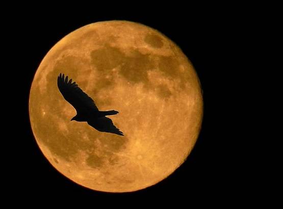 लॉकडाउन में सन्नाटे के बीच आया गुलाबी सुपरमून, देखें तस्वीरें