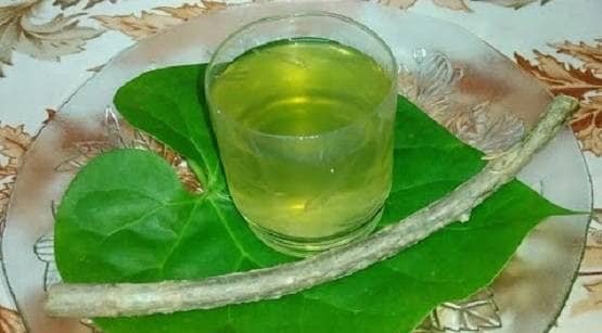 कोरोना: इस चमत्कारी पत्ते का ड्रिंक सुधारेगा इम्यून, डाइट में करें शामिल