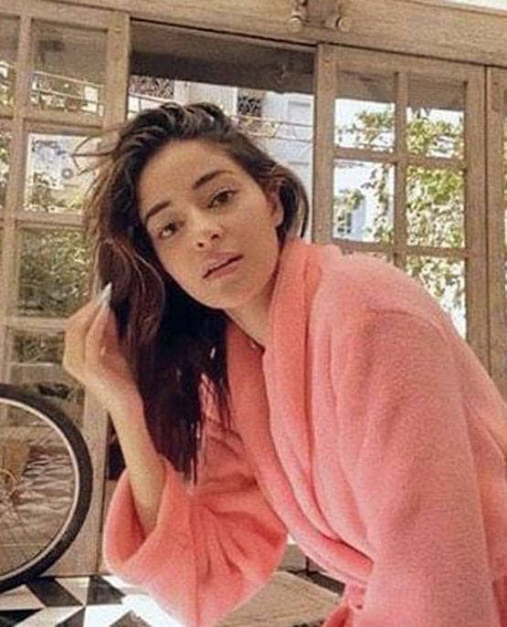 पहले शॉट से ही परेशान थीं अनन्या पांडे, शेयर की 'स्टूडेंट ऑफ द ईयर 2' की यादें