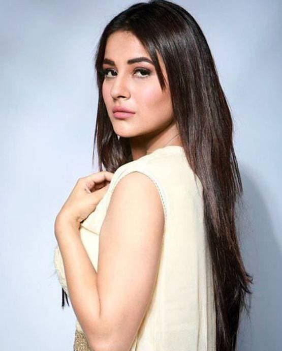 पॉपुलैरिटी के मामले में काफी आगे निकलीं शहनाज, फैंस ने दिया खास सरप्राइज