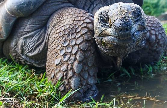 इंसान ने अपनी इन गलतियों से पैदा किया कोरोना वायरस, अब बनी महामारी