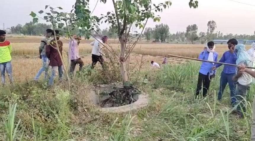 तेंदुए की अफवाह पर दौड़ी पुलिस, जब खोजा तो निकला दूसरा जानवर