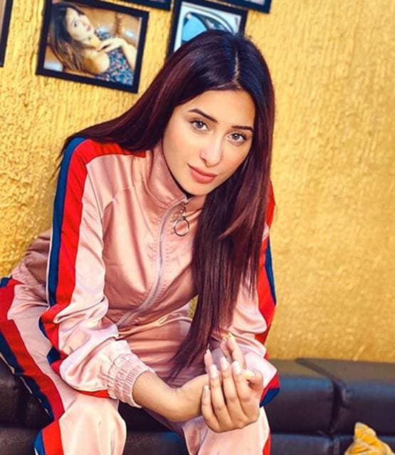 जय ने पारस-माहिरा के खाना बांटने को बताया पब्लिसिटी, भड़कीं एक्ट्रेस