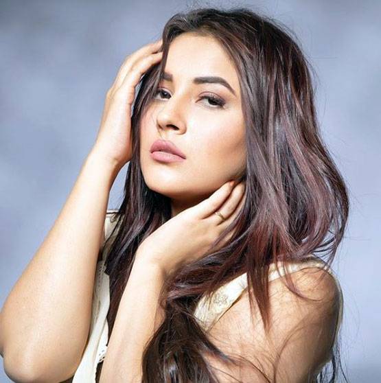 पॉपुलैरिटी के मामले में काफी आगे निकलीं शहनाज, फैंस ने दिया खास सरप्राइज