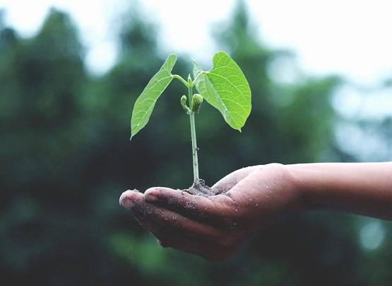 अक्षय तृतीया आज, भूलकर भी न कर बैठें ये 10 बड़ी गलतियां