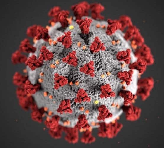 कोरोना से बचने के लिए उत्तर कारिया दे रहा लहसुन-प्याज खाने की सलाह