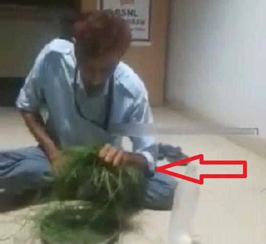 सैलरी नहीं मिली तो थाली में रखकर घास खाने लगा गार्ड, वीडियो वायरल