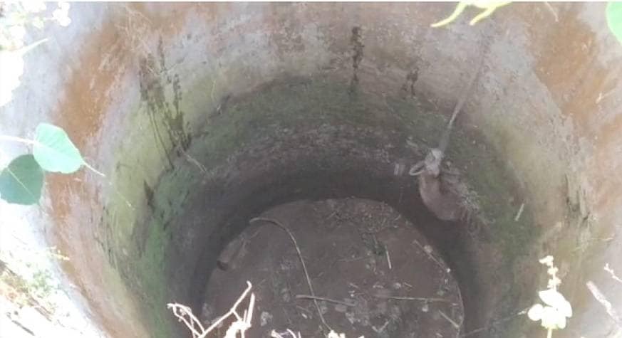 तेंदुए की अफवाह पर दौड़ी पुलिस, जब खोजा तो निकला दूसरा जानवर