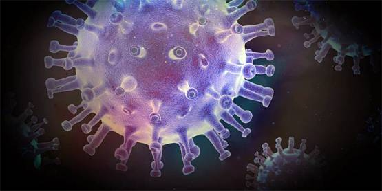 कोरोना वायरस: खान-पान से संक्रमण को लेकर वैज्ञानिकों ने बताईं ये अहम बातें