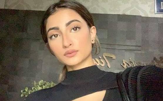 श्वेता तिवारी की बेटी ने बताई वर्कआउट की नई तरकीब, देखें तस्वीर