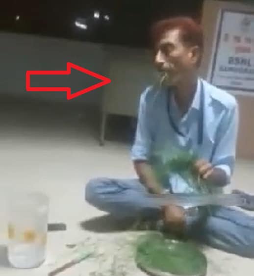 सैलरी नहीं मिली तो थाली में रखकर घास खाने लगा गार्ड, वीडियो वायरल