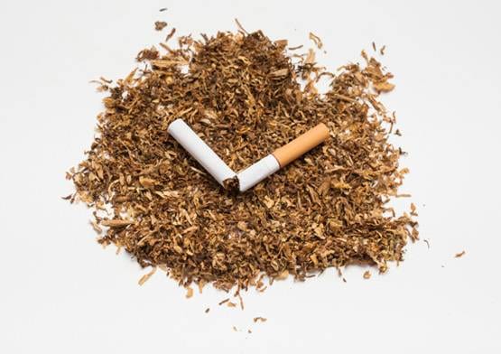 क्या निकोटीन से कंट्रोल होगा कोरोना, वैज्ञानिकों ने शुरू की रिसर्च