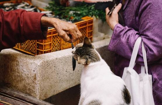 इंसान ने अपनी इन गलतियों से पैदा किया कोरोना वायरस, अब बनी महामारी