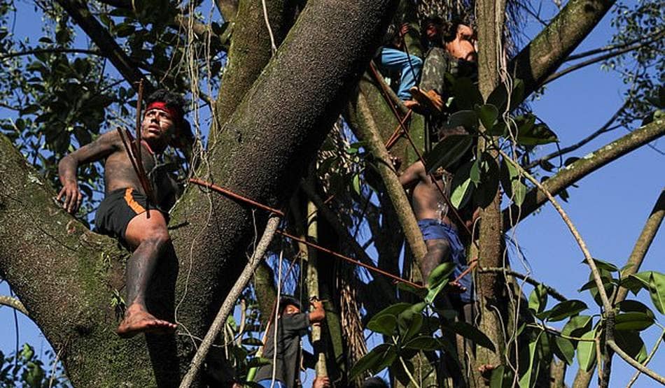 कोरोना: विशेषज्ञों ने चेताया- अमेजन के आदिवासियों पर मंडरा रहा खतरा