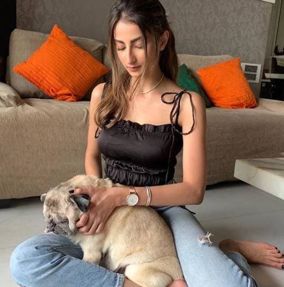 श्वेता तिवारी की बेटी ने बताई वर्कआउट की नई तरकीब, देखें तस्वीर