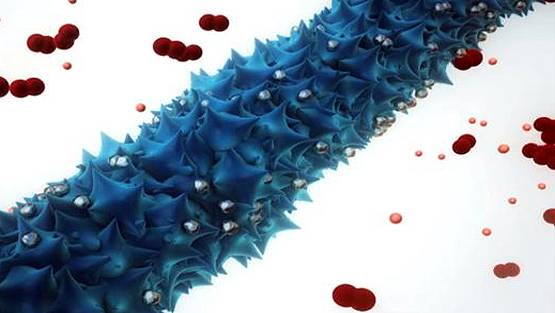 वायरस ऊर्जा के स्रोत, इनसे बनी हैं बैटरियां, MIT प्रोफेसर का दावा