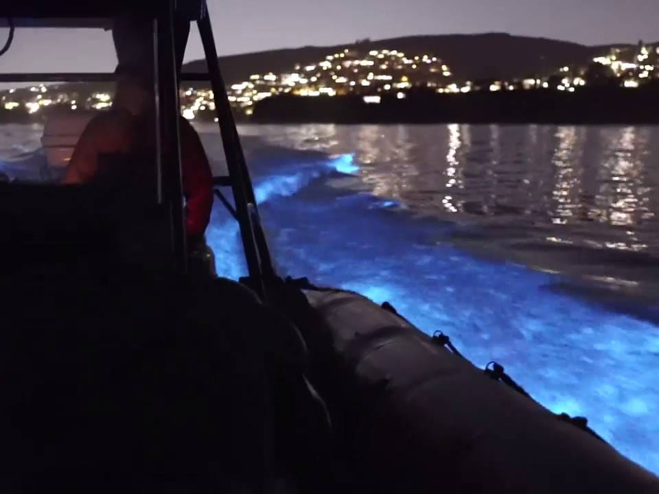 समुद्री लहरों से निकली नीली रोशनी, 60 साल में दिखा ऐसा नजारा