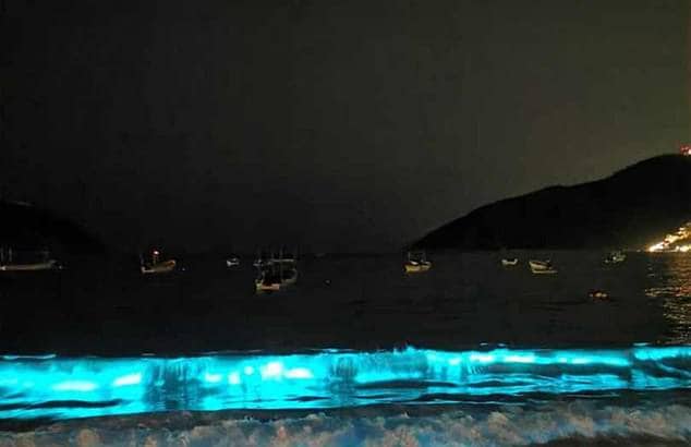 समुद्री लहरों से निकली नीली रोशनी, 60 साल में दिखा ऐसा नजारा