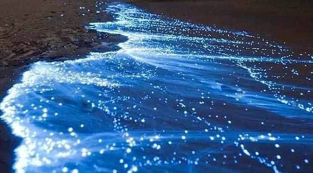 समुद्री लहरों से निकली नीली रोशनी, 60 साल में दिखा ऐसा नजारा