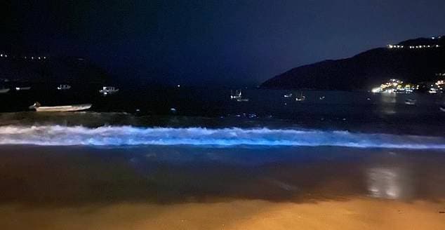 समुद्री लहरों से निकली नीली रोशनी, 60 साल में दिखा ऐसा नजारा