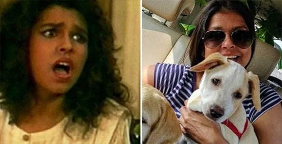 टीवी पर देख भाई देख की वापसी, जानें अब कैसे दिखते हैं इसके सितारे?