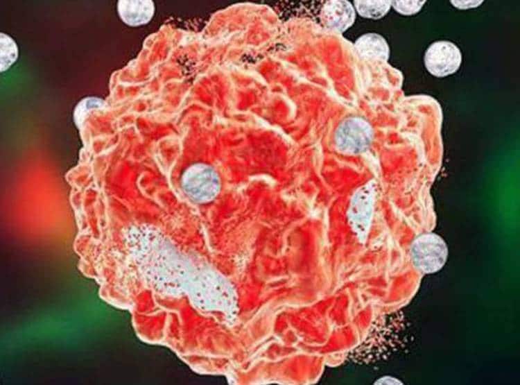 क्या है ल्यूकेमिया जिसने ले ली बॉलीवुड अभिनेता ऋषि कपूर की जान?