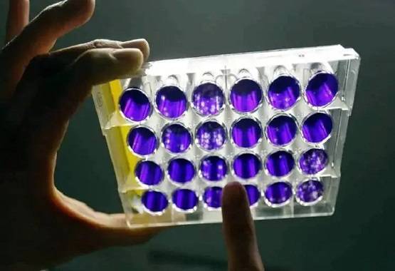 नेपाल का 'जालिम मुखिया' भारत में कोरोना फैलाने का बना रहा प्लान