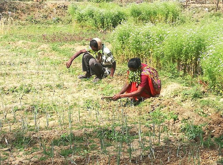 कोरोना से बचने का देसी जुगाड़, नीम के पत्तों का मास्क बनाकर कर रहे काम