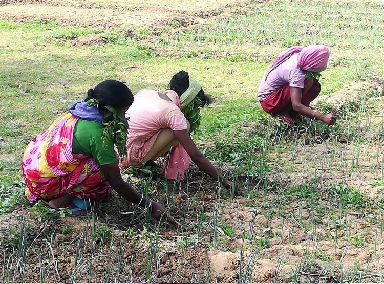 कोरोना से बचने का देसी जुगाड़, नीम के पत्तों का मास्क बनाकर कर रहे काम