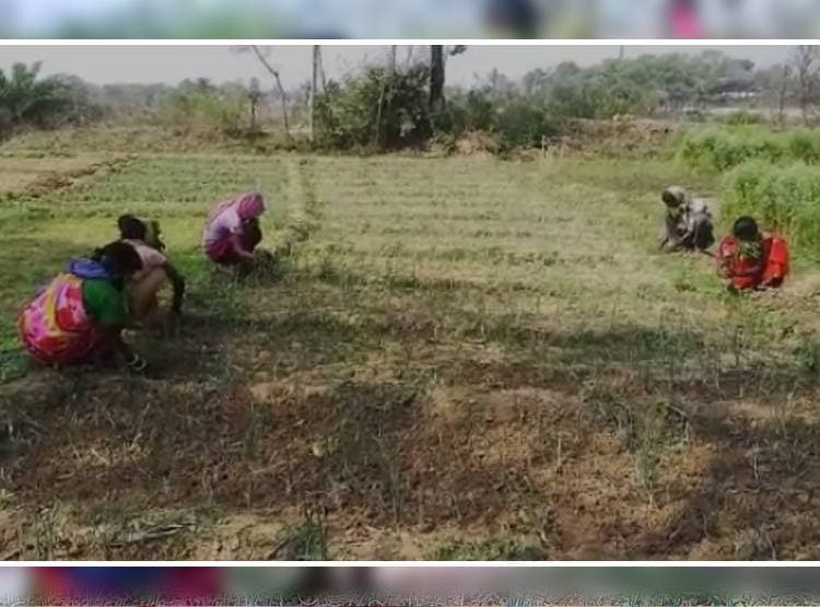 कोरोना से बचने का देसी जुगाड़, नीम के पत्तों का मास्क बनाकर कर रहे काम