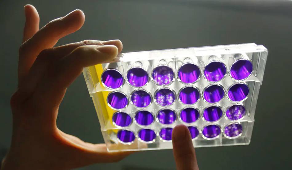 दुनियाभर में 70 वैक्सीन बनाने, 3 लोगों पर टेस्टिंग का काम जारी: WHO