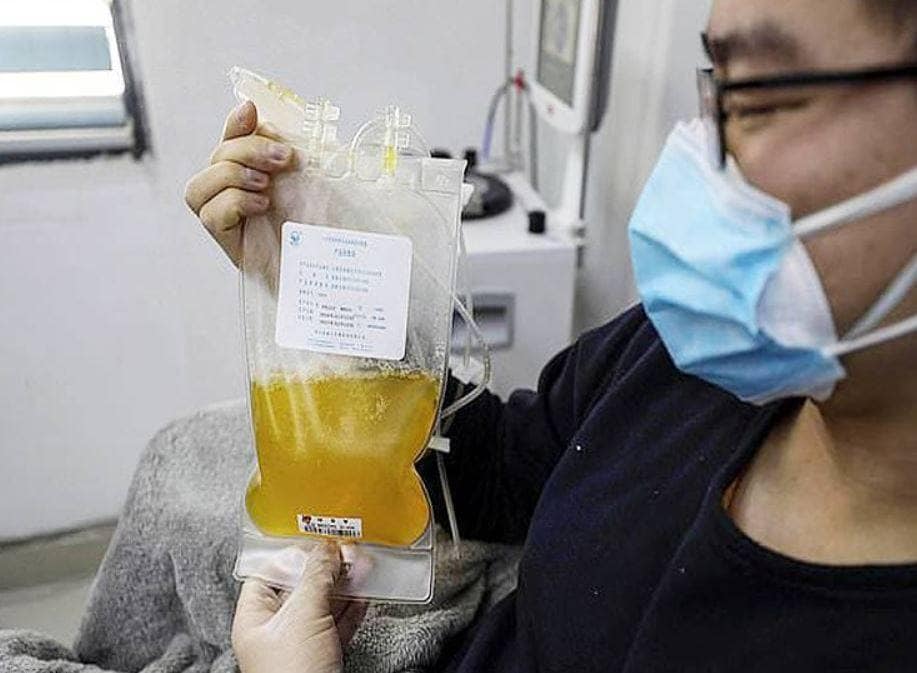 भारत में अब प्लाज्मा थैरेपी से होगा कोरोना का इलाज, ICMR की मंजूरी