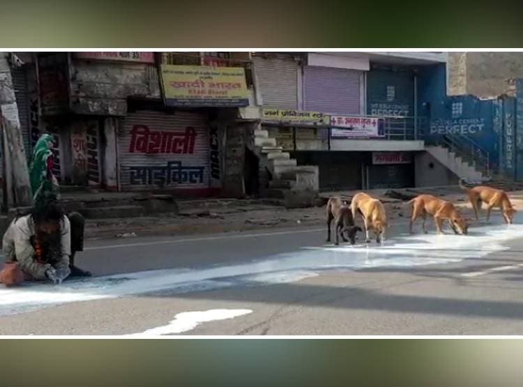 सड़क पर फैला पड़ा था दूध, इंसान और कुत्ते की एक साथ बुझी भूख