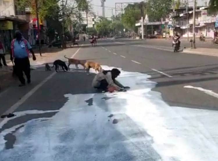 सड़क पर फैला पड़ा था दूध, इंसान और कुत्ते की एक साथ बुझी भूख