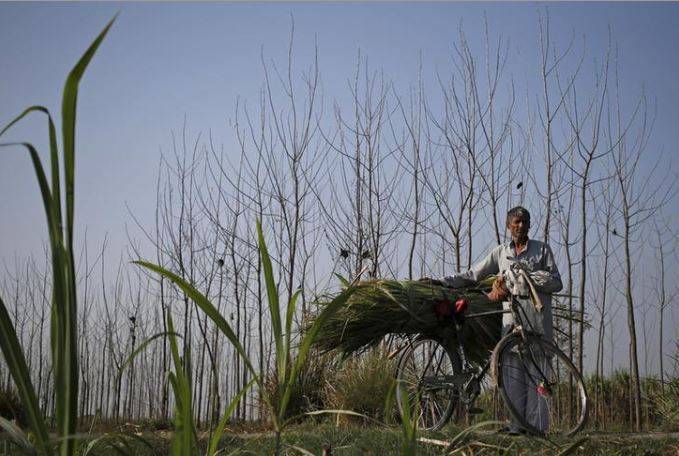स्वामित्व योजना: दूर होगी संपत्ति की लड़ाई, ग्रामीणों को लोन मिलना होगा आसान