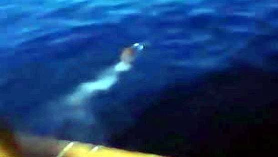 पता चला फेरी पर कोरोना संक्रमित लोग हैं तो समुद्र में कूदे यात्री