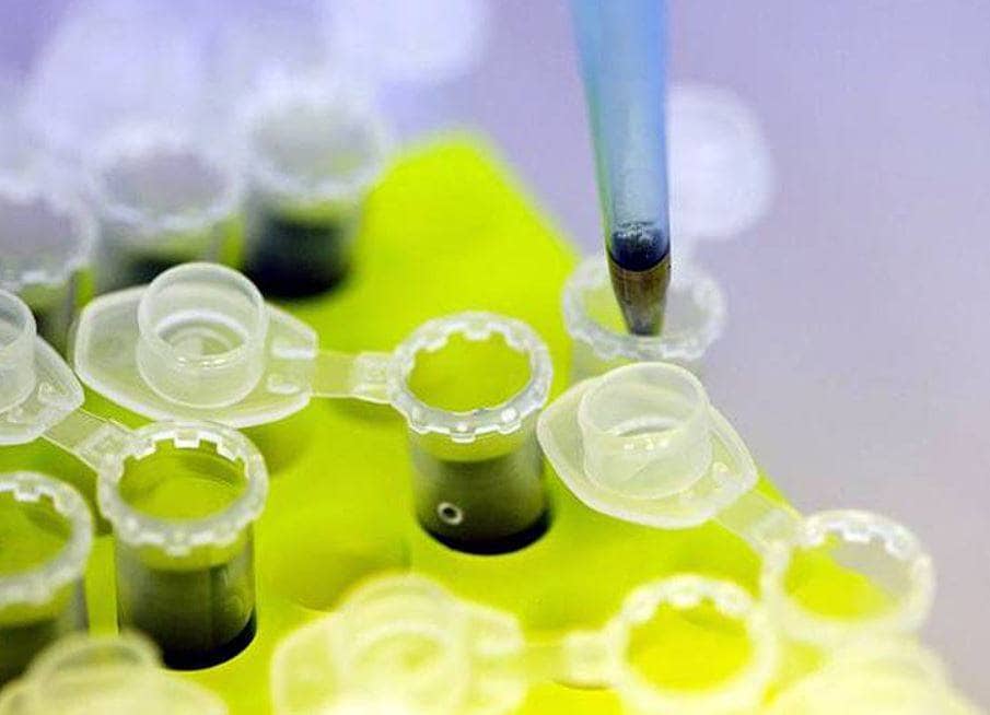 भारत में अब प्लाज्मा थैरेपी से होगा कोरोना का इलाज, ICMR की मंजूरी