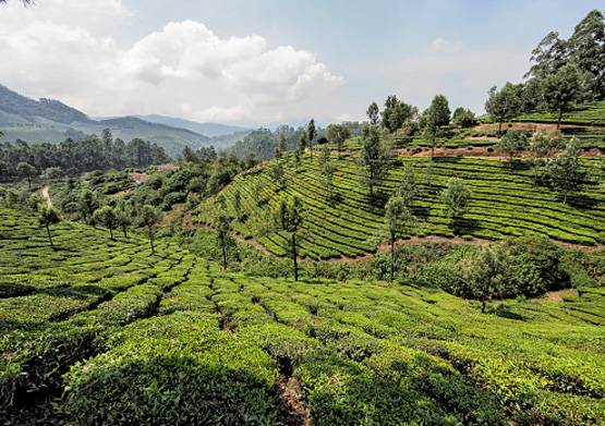 कोरोना: जानें उन जगहों का हाल, जहां आप घूमने जाया करते थे