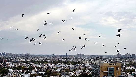 लॉकडाउन ने साफ कर दी भारत की 20 साल से गंदी हवा, NASA ने जारी की तस्वीरें