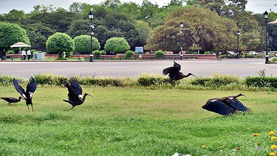 लॉकडाउन ने साफ कर दी भारत की 20 साल से गंदी हवा, NASA ने जारी की तस्वीरें
